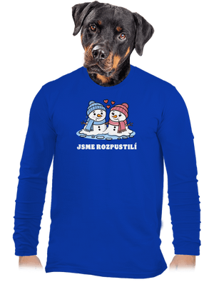 pánské dlouhý rukáv