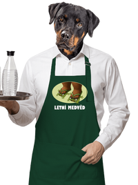 zástěra