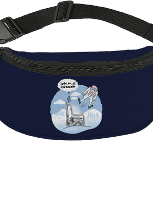 Lyže ledvinka French Navy