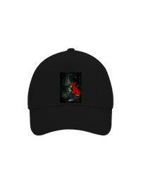 kšiltovka baseballka