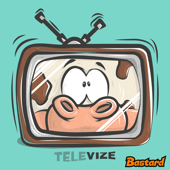Televize