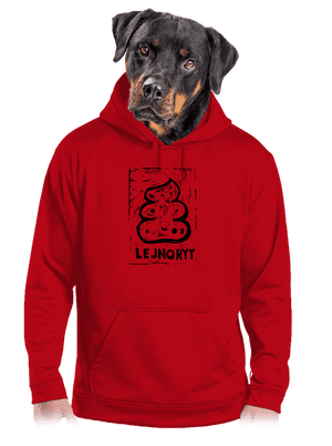 Lejnoryt pánská mikina klokanka Red