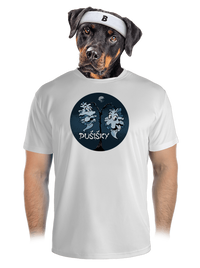 pánské sportovní tričko
