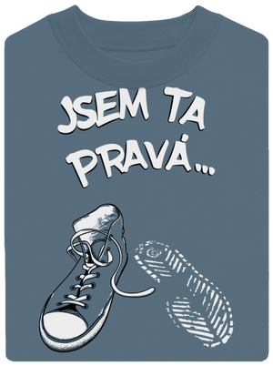 Hledám tu pravou unisex mikina bez kapuce Nordic Blue