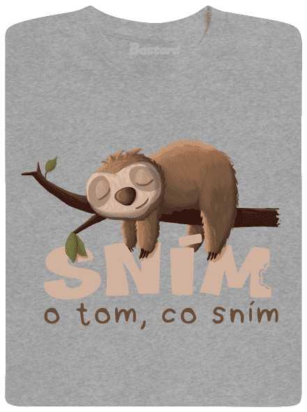 Sním o tom, co sním pánské tričko Sport Grey