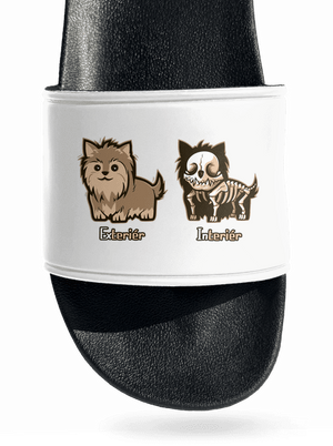 Teriér pantofle White