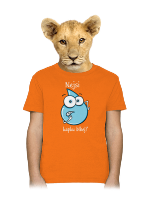 Nejsi kapku blbej dětské tričko Orange