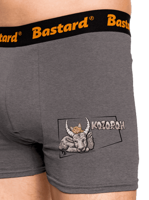 Kočičí horoskop: Kozoroh boxerky Gray Melange