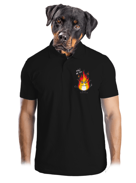 Pálí mi to pánská polokošile Black