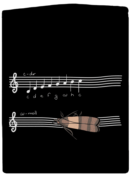 A - moll dámská mikina na zip Black