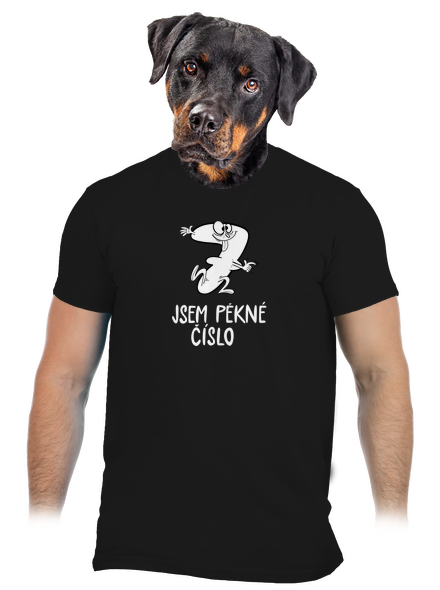 Jsem pěkné číslo pánské tričko Black