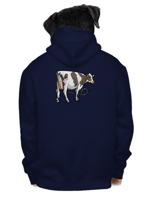 pánská mikina na zip