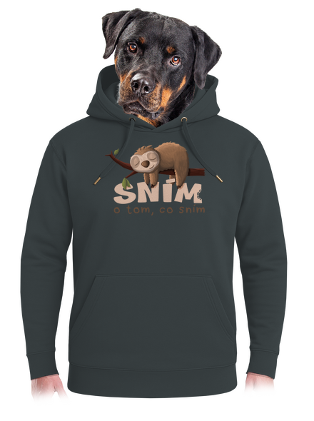 Sním o tom, co sním unisex mikina premium Charcoal