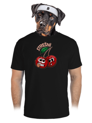 pánské sportovní tričko