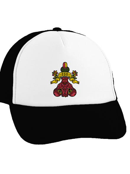 Kulový eso kšiltovka truckerka Black cap