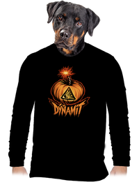 pánské dlouhý rukáv