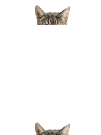dámská mikina klokanka