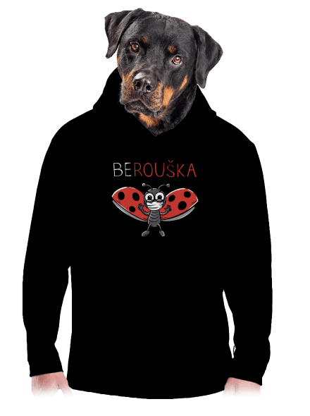 Berouška pánská mikina klokanka Black