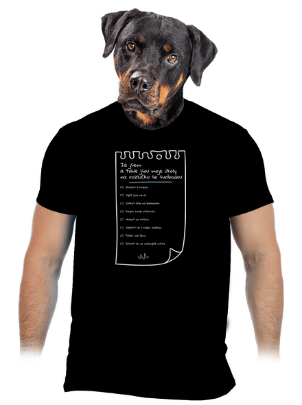 To do list na rozlučku se svobodou a fix pánské tričko Black