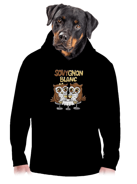 Sovygnon pánská mikina klokanka Black