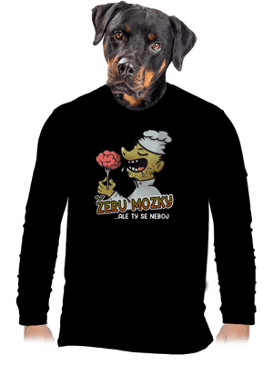 pánské dlouhý rukáv