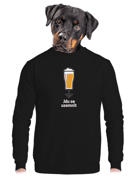 Jdu se uzemnit unisex mikina bez kapuce Black