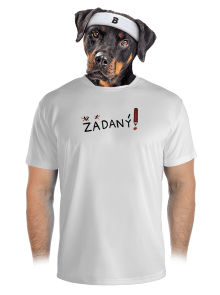 Zadaný a zadaná pánské sportovní tričko White