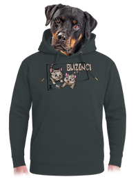 unisex mikina premium