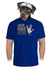 pánské sportovní tričko