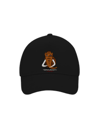 kšiltovka baseballka