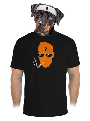 pánské sportovní tričko