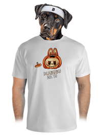 pánské sportovní tričko