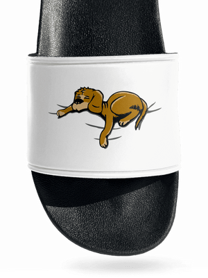 Spící pes pantofle White