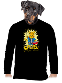 pánské dlouhý rukáv