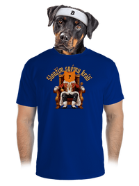 pánské sportovní tričko