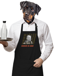 zástěra
