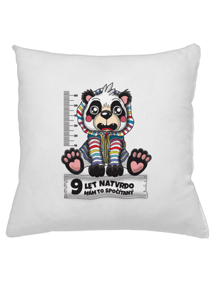 Školní docházka polštář White