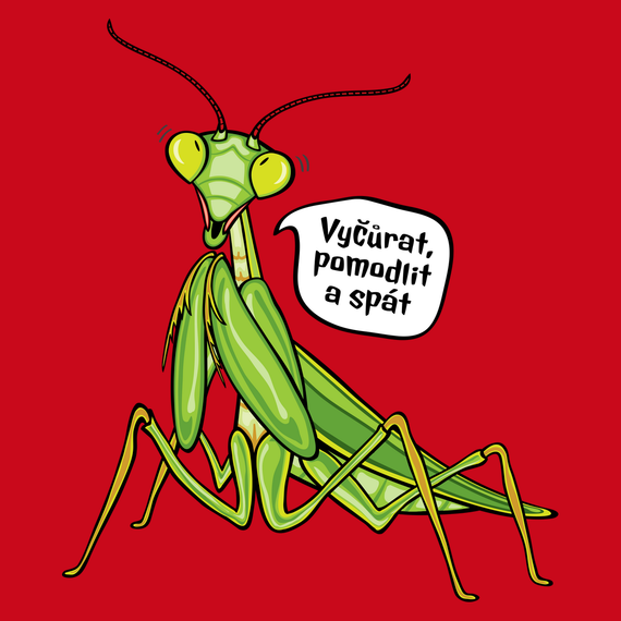 Kudlanka nábožná