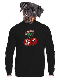 unisex mikina bez kapuce