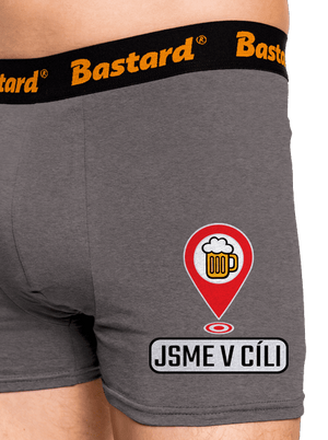 Jsme v cíli boxerky Gray Melange