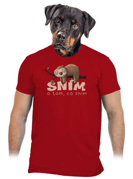 Sním o tom, co sním pánské tričko Red
