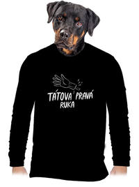 pánské dlouhý rukáv