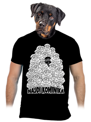 Najdi kominíka pánské tričko Black