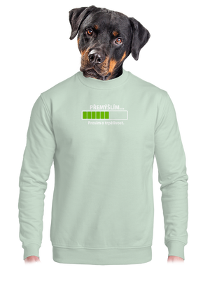 Přemýšlím unisex mikina bez kapuce Blush Mint