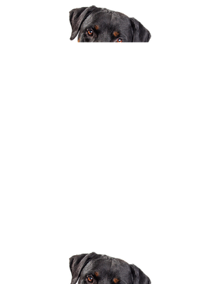 unisex mikina bez kapuce