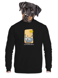 unisex mikina bez kapuce