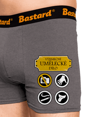 Umělecké dílo boxerky Gray Melange