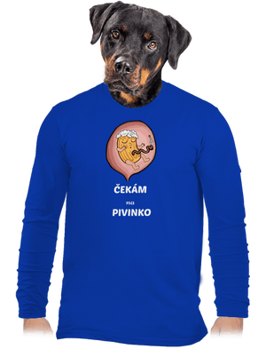 pánské dlouhý rukáv