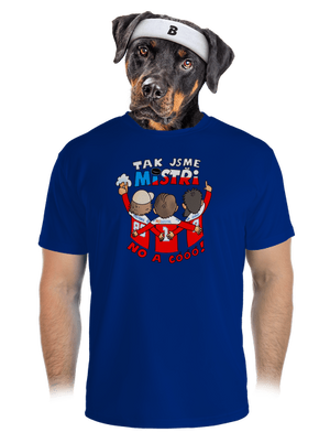 pánské sportovní tričko