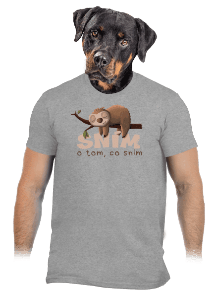 Sním o tom, co sním pánské tričko Sport Grey